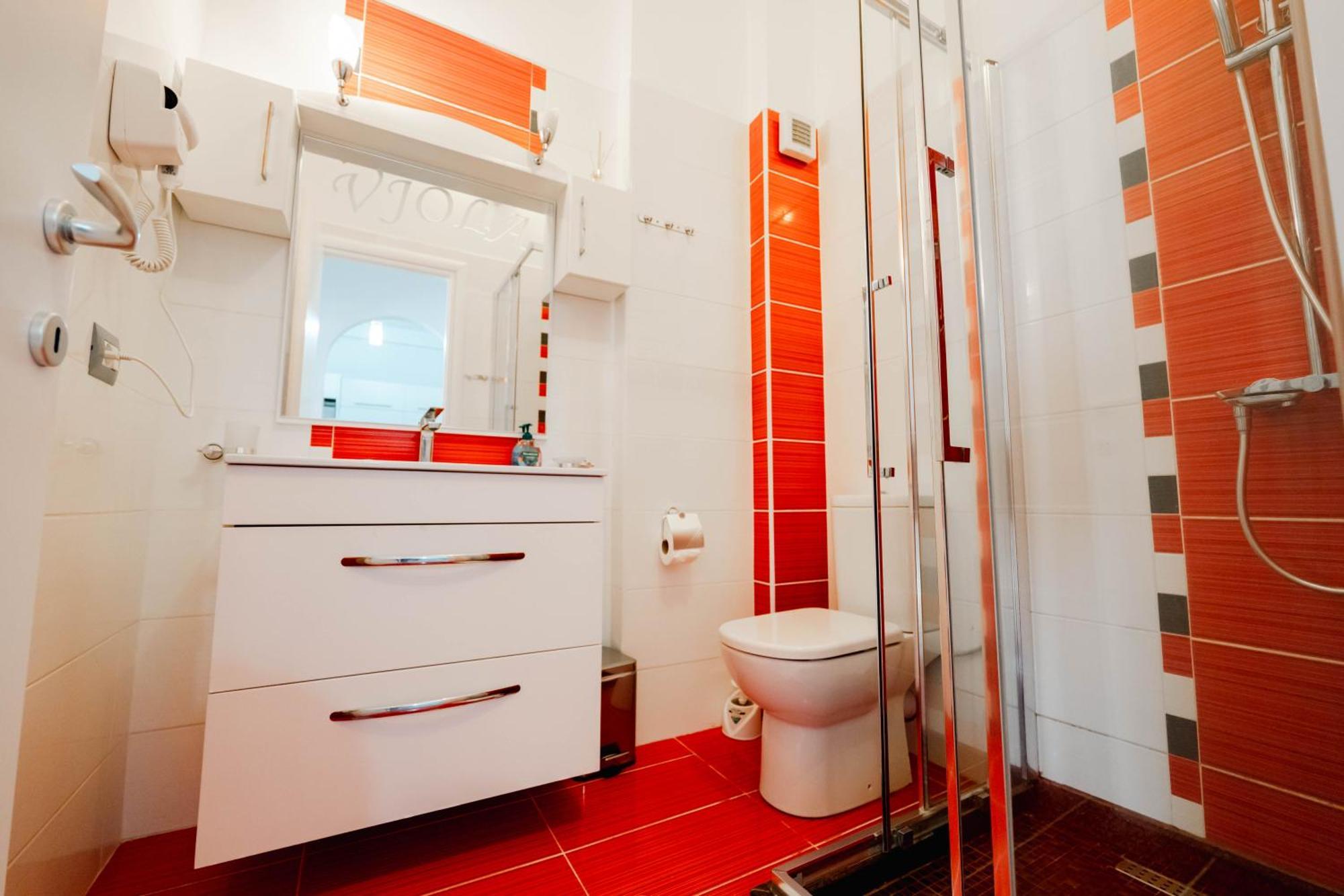 Vjola Apartament